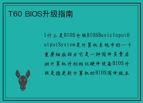 T60 BIOS升级指南